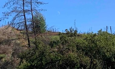 VENTA  PARCELA VILLA ALEMANA 15.000 M2 OPORTUNIDAD INVERSIÓN, REBAJADA!