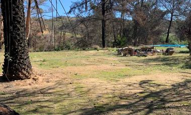 VENTA  PARCELA VILLA ALEMANA 15.000 M2 OPORTUNIDAD INVERSIÓN, REBAJADA!