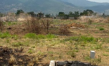 ¡SE VENDE TERRENO 2500 MTS CUADRADOS EN ZONA DE ALTA PLUSVALÍA!