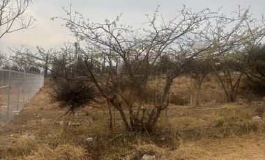 ¡SE VENDE TERRENO 2500 MTS CUADRADOS EN ZONA DE ALTA PLUSVALÍA!