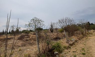 ¡SE VENDE TERRENO 2500 MTS CUADRADOS EN ZONA DE ALTA PLUSVALÍA!