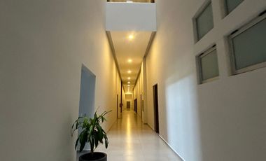 Departamento de 3 recámaras, amueblado, en Montejo Plaza.