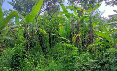 FARMLAND IN ANULING CERCA 2, MENDEZ, CAVITE