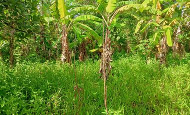 FARMLAND IN ANULING CERCA 2, MENDEZ, CAVITE
