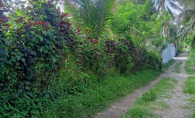 FARMLAND IN ANULING CERCA 2, MENDEZ, CAVITE