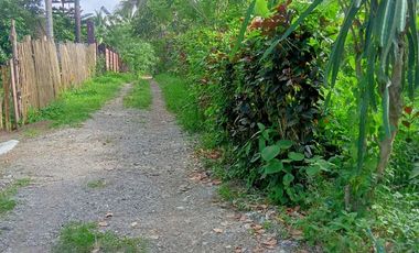 FARMLAND IN ANULING CERCA 2, MENDEZ, CAVITE