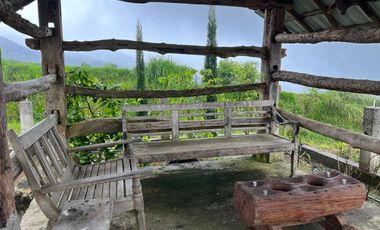 Villa Limasan Cocok untuk Cafe & Penginapan Kemuning
