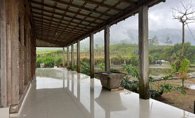 Villa Limasan Cocok untuk Cafe & Penginapan Kemuning