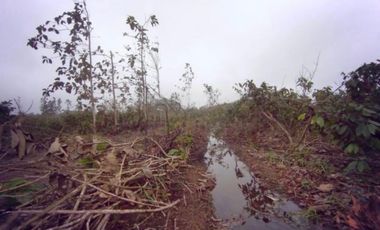 Venta Finca Bucay de Alta Rentabilidad