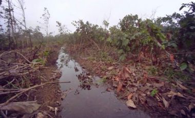 Venta Finca Bucay de Alta Rentabilidad