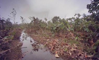 Venta Finca Bucay de Alta Rentabilidad