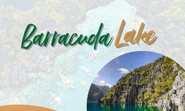 Ready for occipancy and Near RFO Condominium in Palawan as low as 18k per month