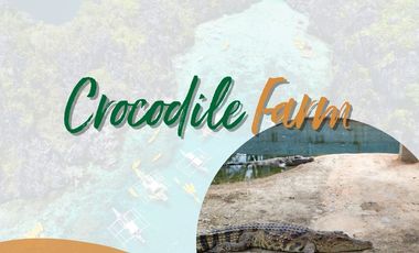 Ready for occipancy and Near RFO Condominium in Palawan as low as 18k per month