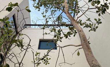 Casa en venta coto encinos Los robles, estudio cochera 3 autos roof garden junto bosque de la primavera