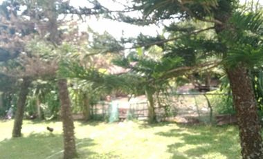 FARMLAND IN ANULING CERCA 1, MENDEZ, CAVITE