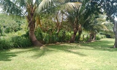 FARMLAND IN ANULING CERCA 1, MENDEZ, CAVITE