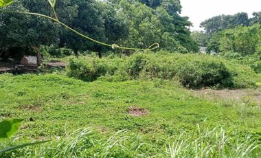 FARMLAND IN ANULING CERCA 1, MENDEZ, CAVITE