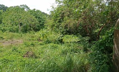 FARMLAND IN ANULING CERCA 1, MENDEZ, CAVITE