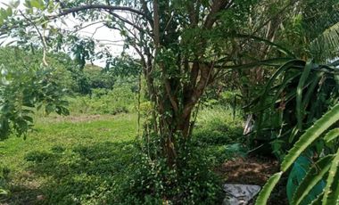 FARMLAND IN ANULING CERCA 1, MENDEZ, CAVITE