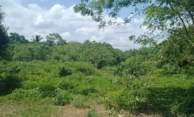 FARMLAND IN ANULING CERCA 1, MENDEZ, CAVITE