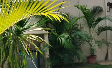 For Sale Ready for Occupancy 4 bedroom 2 Storey Single Attached House in Cebu City