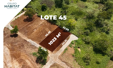 Terreno en venta en Logroño, Morona Santiago, Facilidades de pago, Amazonía Ecuatoriana, Sucúa