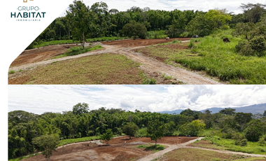 Terreno en venta en Logroño, Morona Santiago, Facilidades de pago, Amazonía Ecuatoriana, Sucúa