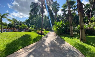 PALMARIS CANCUN RENTA CASA RENTA