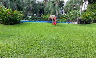 PALMARIS CANCUN RENTA CASA RENTA