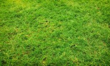 Lot for sale in Moonwalk Access Road, Barangay 201, Zone 20, District 1, Pasay, Southern Manila District