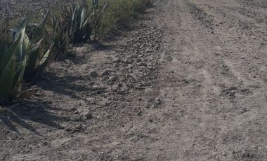 Terreno en VENTA Acopinalco, Apan, Hgo.