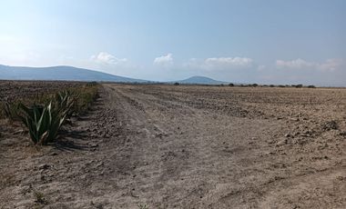 Terreno en VENTA Acopinalco, Apan, Hgo.