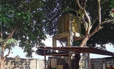 House for sale in Hermelinda Bacolod City Negros Occidental