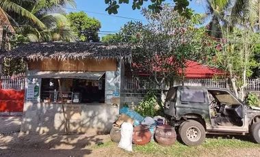 House for sale in Hermelinda Bacolod City Negros Occidental