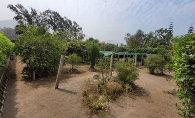 VENTA DE CASA DE CAMPO 🏡 EN CIENEGUILLA ☀ AV. MALECÓN LURÍN (SEGUNDA ETAPA)