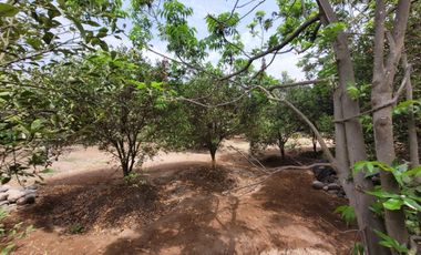 VENTA DE CASA DE CAMPO 🏡 EN CIENEGUILLA ☀ AV. MALECÓN LURÍN (SEGUNDA ETAPA)