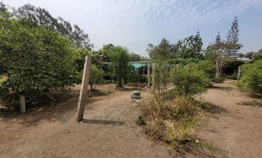 VENTA DE CASA DE CAMPO 🏡 EN CIENEGUILLA ☀ AV. MALECÓN LURÍN (SEGUNDA ETAPA)