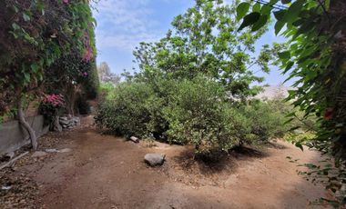 VENTA DE CASA DE CAMPO 🏡 EN CIENEGUILLA ☀ AV. MALECÓN LURÍN (SEGUNDA ETAPA)