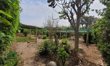 VENTA DE CASA DE CAMPO 🏡 EN CIENEGUILLA ☀ AV. MALECÓN LURÍN (SEGUNDA ETAPA)