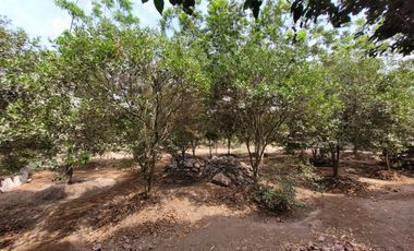 VENTA DE CASA DE CAMPO 🏡 EN CIENEGUILLA ☀ AV. MALECÓN LURÍN (SEGUNDA ETAPA)