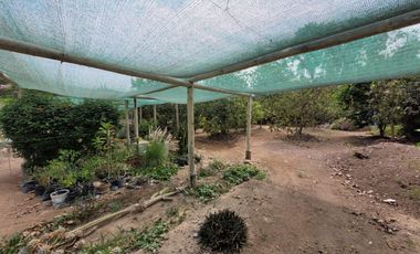 VENTA DE CASA DE CAMPO 🏡 EN CIENEGUILLA ☀ AV. MALECÓN LURÍN (SEGUNDA ETAPA)