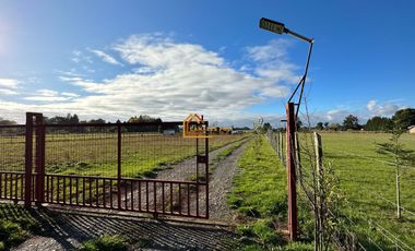 Parcela Sector Faja Maisan, Pitrufquén.      GRAN REBAJA