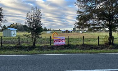 Parcela Sector Faja Maisan, Pitrufquén.      GRAN REBAJA