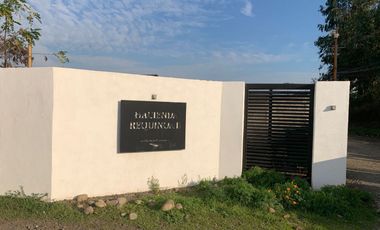 Se vende parcela  de  5000 m2  en sector Chumaquito Requinoa region de O’Higgins