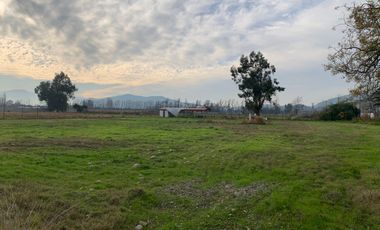 Se vende parcela  de  5000 m2  en sector Chumaquito Requinoa region de O’Higgins