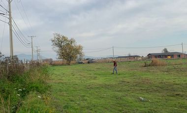 Se vende parcela  de  5000 m2  en sector Chumaquito Requinoa region de O’Higgins