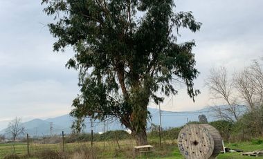 Se vende parcela  de  5000 m2  en sector Chumaquito Requinoa region de O’Higgins