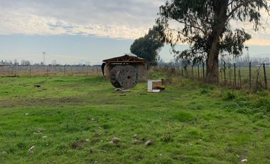 Se vende parcela  de  5000 m2  en sector Chumaquito Requinoa region de O’Higgins