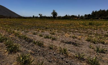Terreno Ejidal en Venta $850.00 metro cuadrado, en San Isidro Mazatepec, Tala, CP. 45344, Jalisco, México.