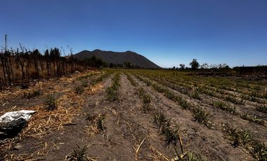 Terreno Ejidal en Venta $850.00 metro cuadrado, en San Isidro Mazatepec, Tala, CP. 45344, Jalisco, México.